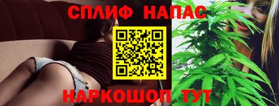 молекула духа Сланцы